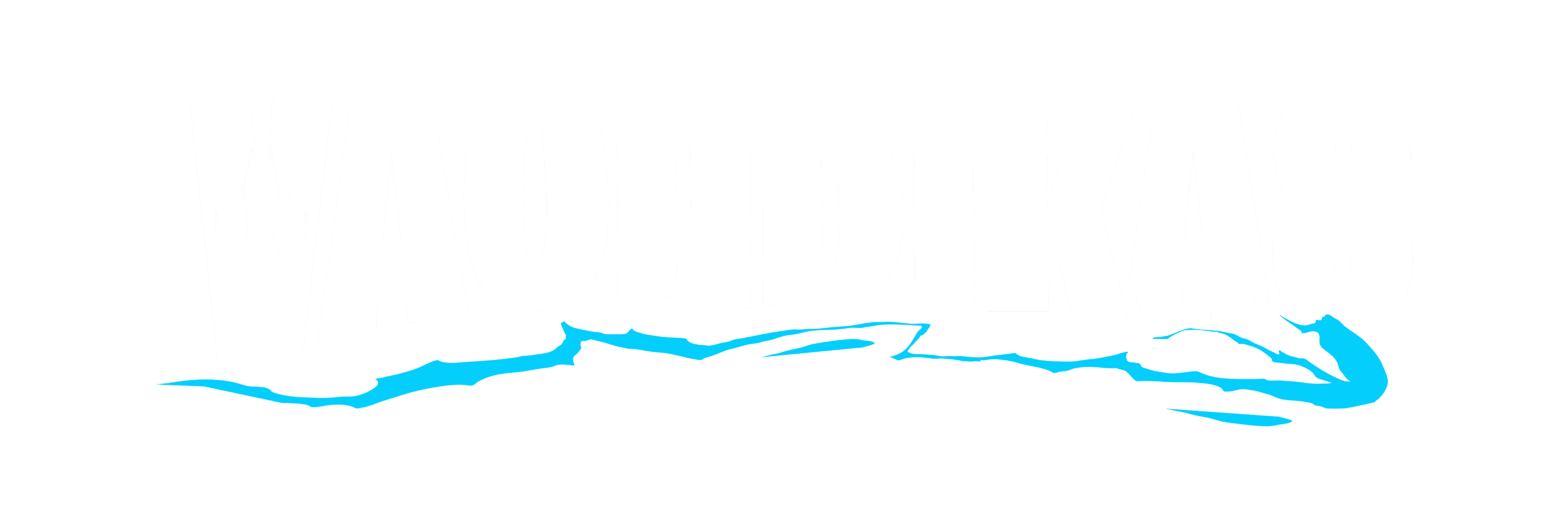 vauhdikas